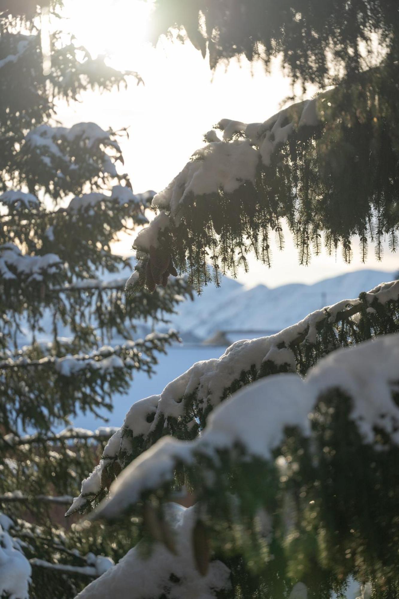 Chalet Alpe D'Huez 1850-Sea And Mountain Pleasure Avec 2 Appartements- 1 Appartement 3 Chambres 8 Couchages - 3 Salles D'Eau Et 1 Appartement 5 Chambres 12 Couchages 5 Salles D'Eau - Jacuzzi Et Sauna -Pieds Des Pistes Et Centre Bagian luar foto