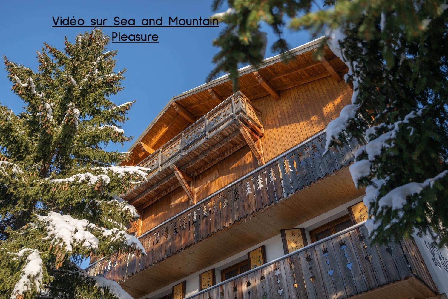 Chalet Alpe D'Huez 1850-Sea And Mountain Pleasure Avec 2 Appartements- 1 Appartement 3 Chambres 8 Couchages - 3 Salles D'Eau Et 1 Appartement 5 Chambres 12 Couchages 5 Salles D'Eau - Jacuzzi Et Sauna -Pieds Des Pistes Et Centre Bagian luar foto