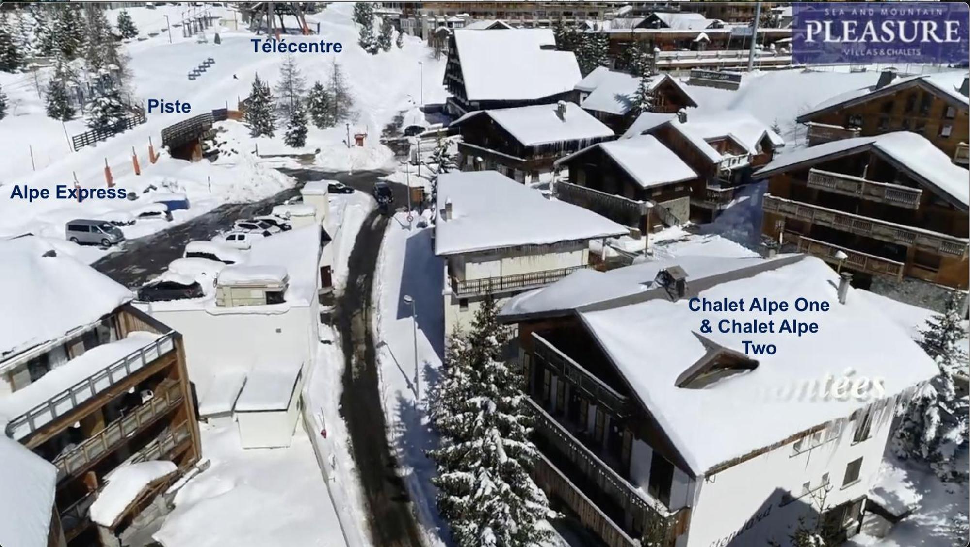 Chalet Alpe D'Huez 1850-Sea And Mountain Pleasure Avec 2 Appartements- 1 Appartement 3 Chambres 8 Couchages - 3 Salles D'Eau Et 1 Appartement 5 Chambres 12 Couchages 5 Salles D'Eau - Jacuzzi Et Sauna -Pieds Des Pistes Et Centre Bagian luar foto
